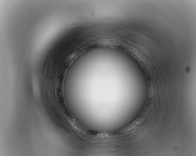 X0000092230764200709140941