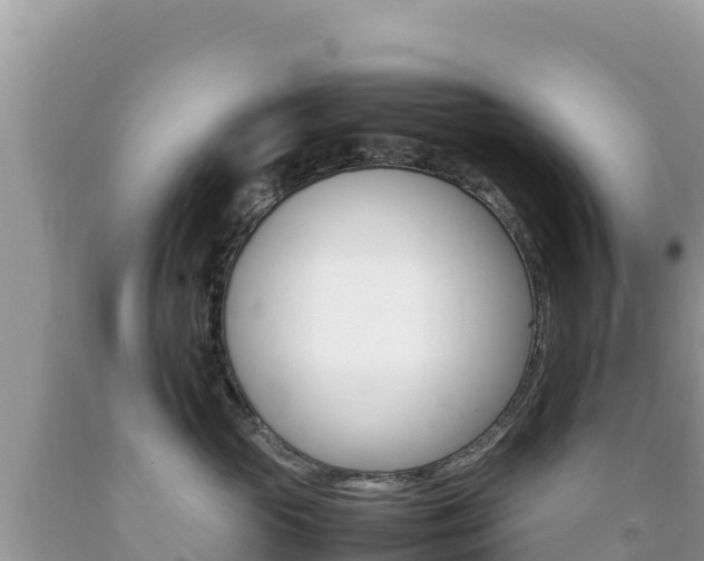 X0000092230765200709140941