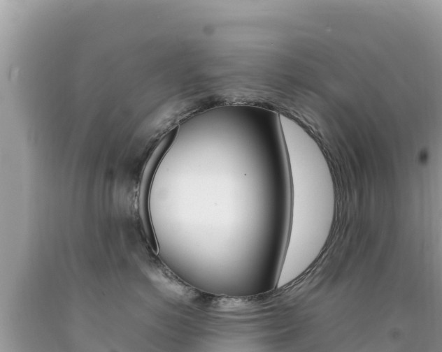 X0000092230766200709140941