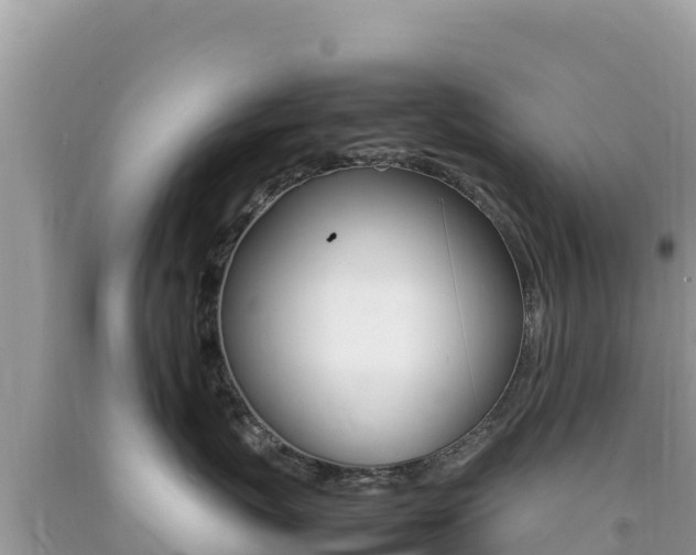 X0000092230767200709140941