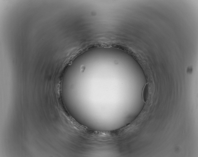 X0000092230768200709140941