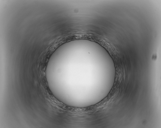 X0000092230770200709140941