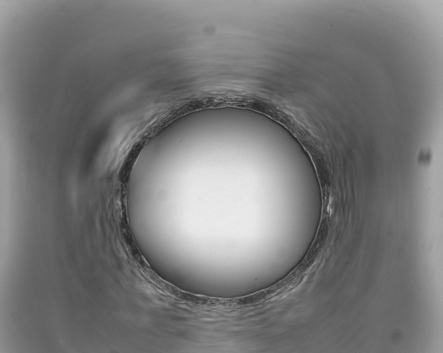 X0000092230771200709140941