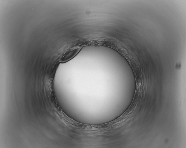 X0000092230772200709140941