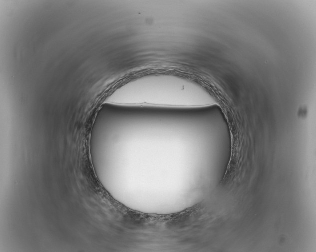 X0000092230773200709140941