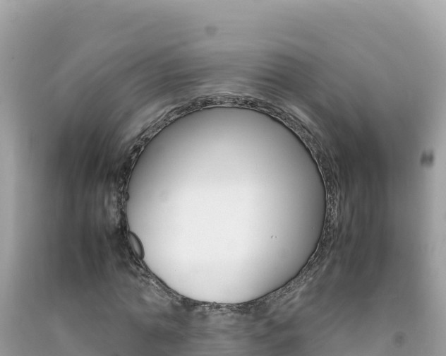 X0000092230774200709140941