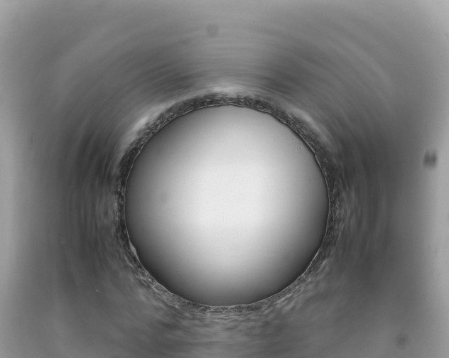 X0000092230776200709140941