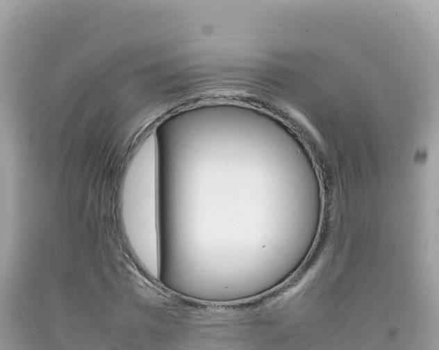 X0000092230777200709140941