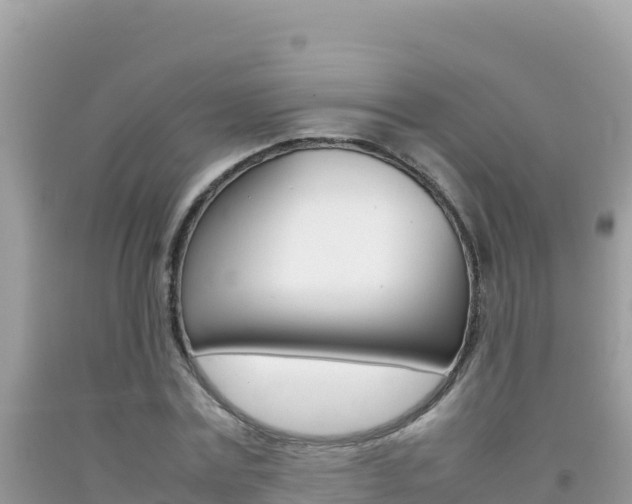 X0000092230779200709140941
