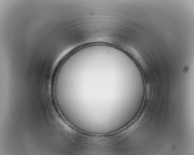 X0000092230780200709140941