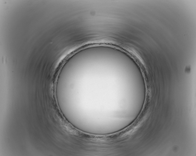 X0000092230781200709140941