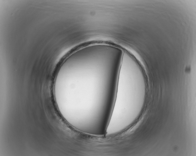 X0000092230783200709140941