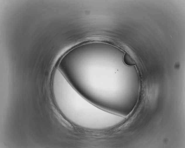 X0000092230787200709140941