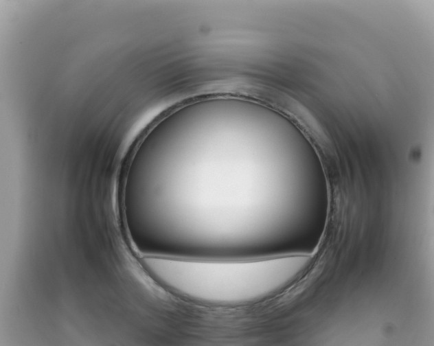 X0000092230788200709140941