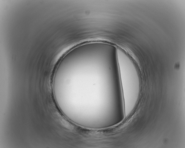 X0000092230789200709140941