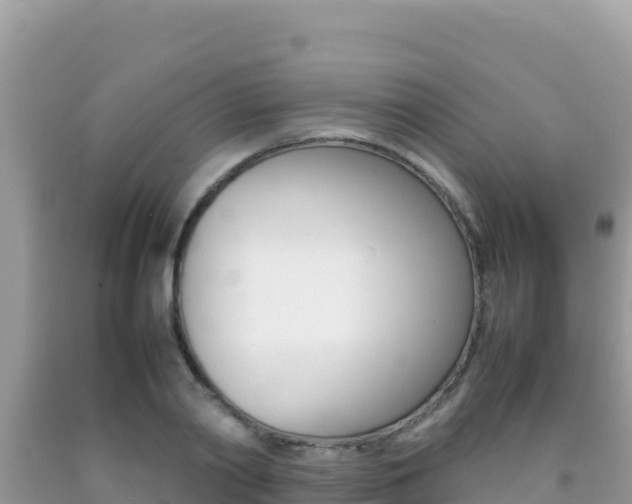 X0000092230790200709140940