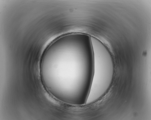 X0000092230792200709140940