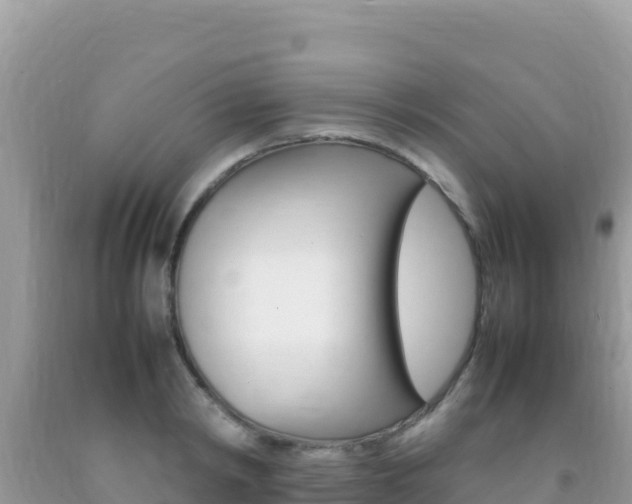 X0000092230798200709140940