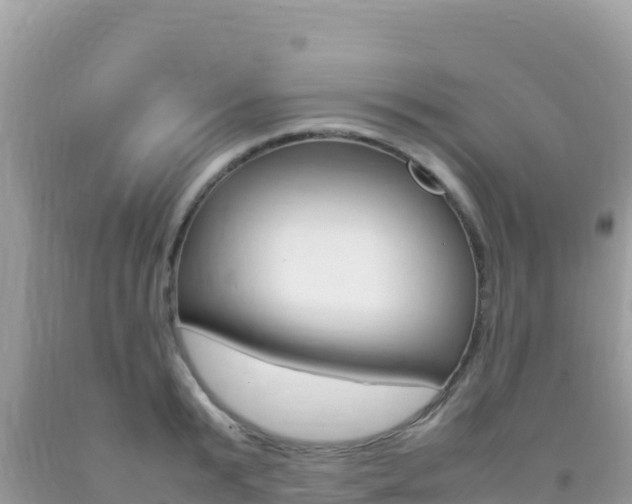 X0000092230799200709140940
