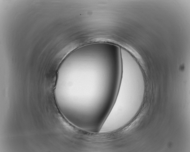 X0000092230801200709140940