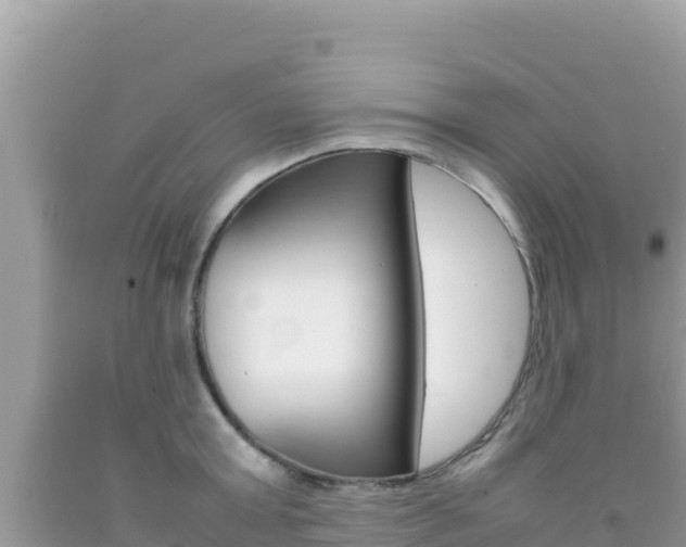 X0000092230803200709140940