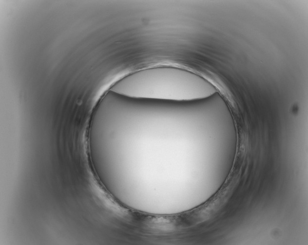 X0000092230806200709140940