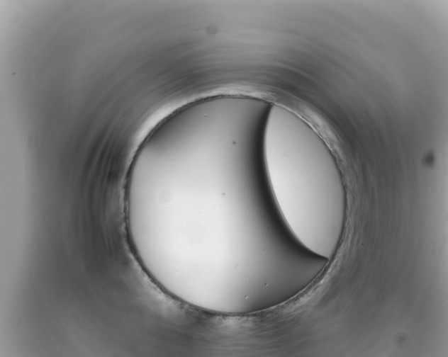 X0000092230808200709140940