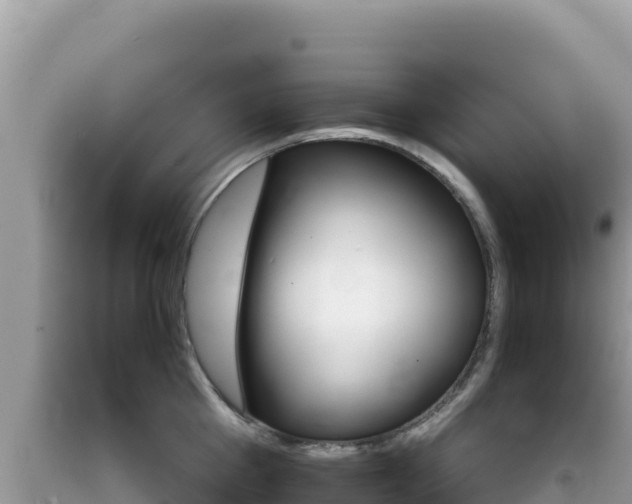 X0000092230809200709140940