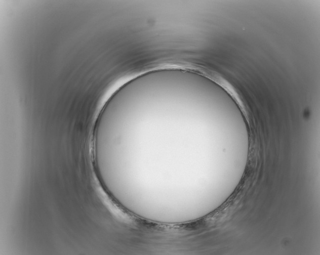 X0000092230811200709140940