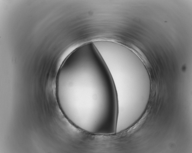 X0000092230812200709140940