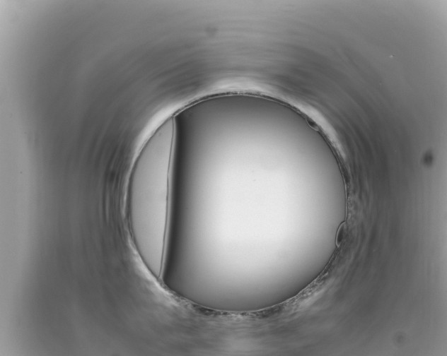 X0000092230815200709140940