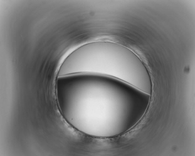 X0000092230816200709140940