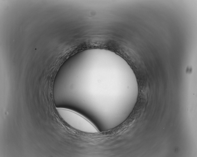 X0000092230817200709140940