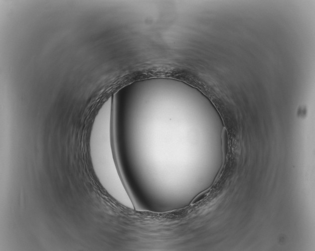 X0000092230818200709140940