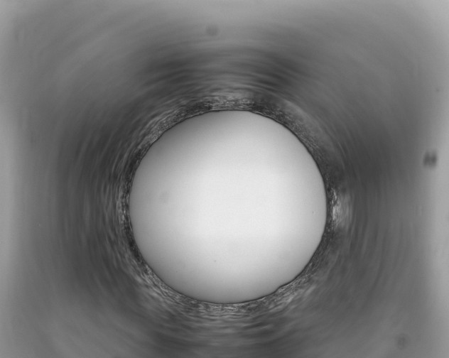 X0000092230819200709140940