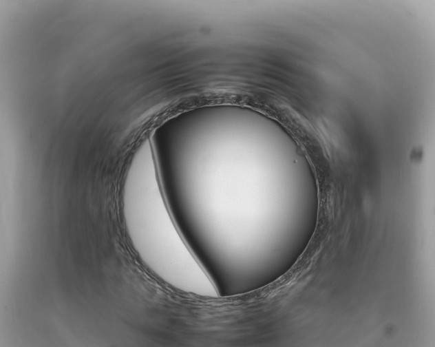 X0000092230821200709140940