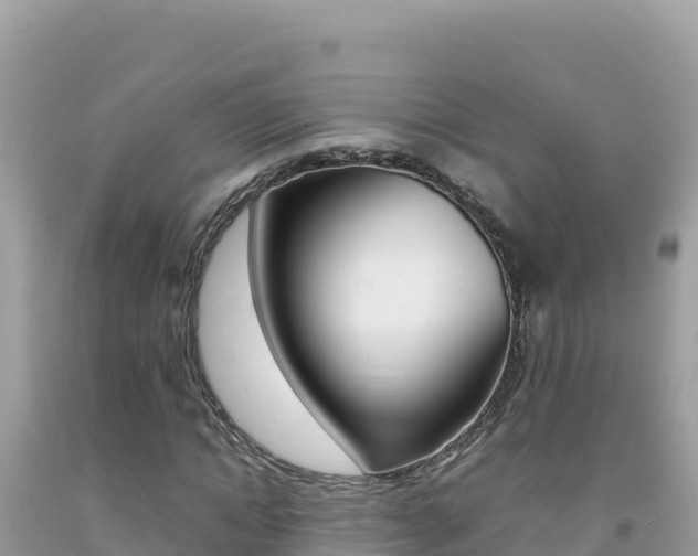 X0000092230822200709140940