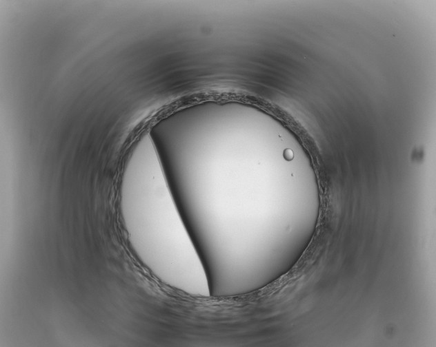 X0000092230823200709140940