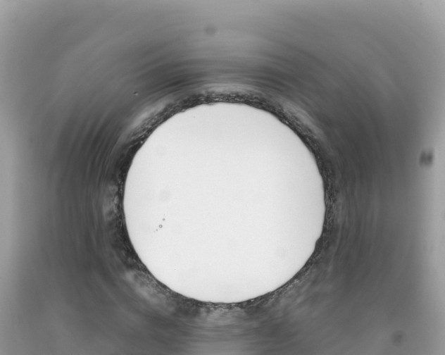 X0000092230824200709140940