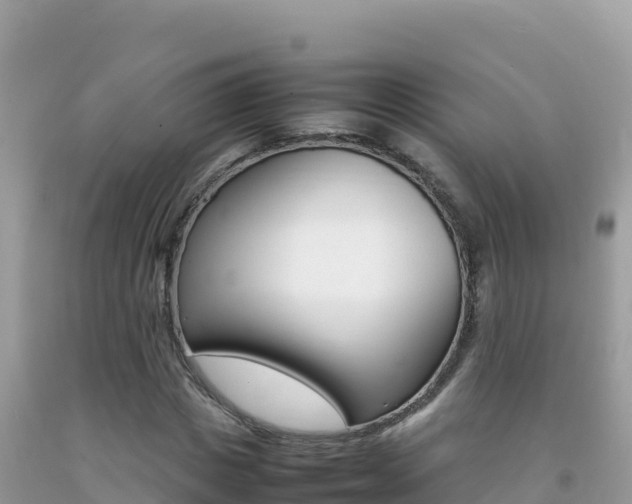 X0000092230825200709140940