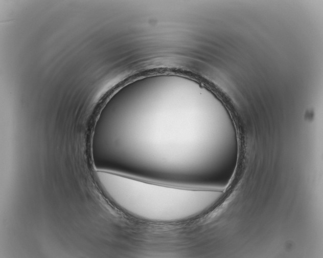 X0000092230826200709140940