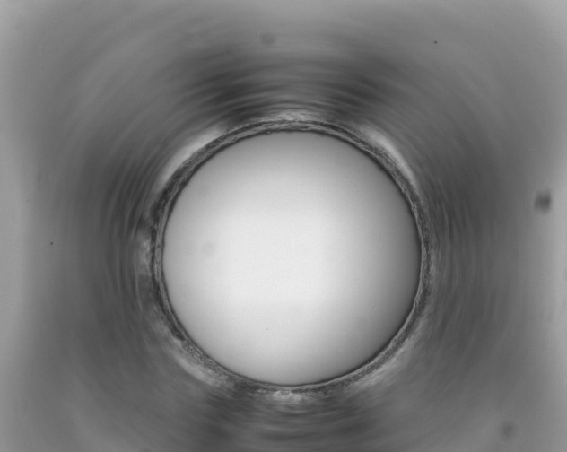 X0000092230827200709140940