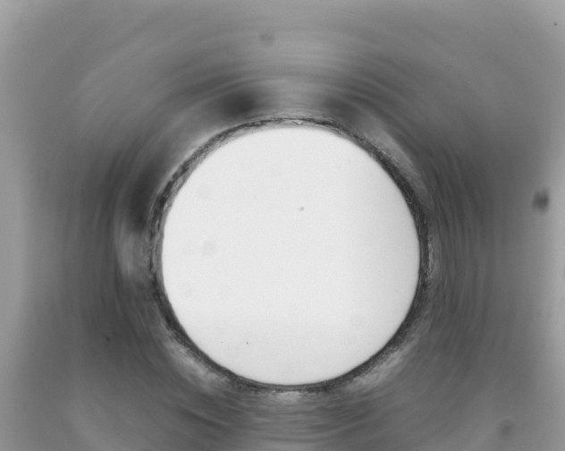 X0000092230828200709140940