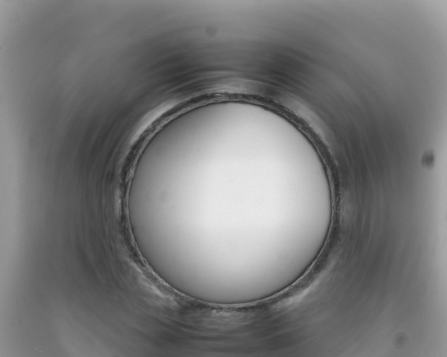 X0000092230829200709140940