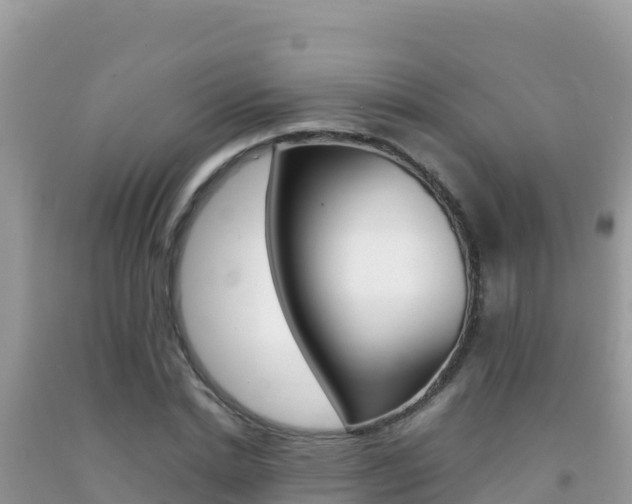 X0000092230830200709140940