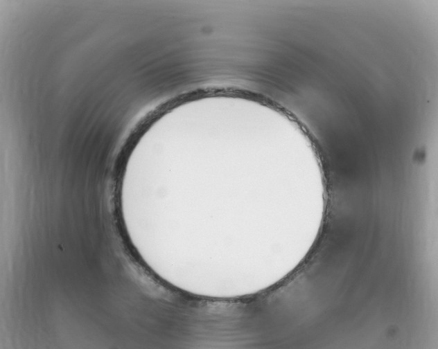 X0000092230832200709140940