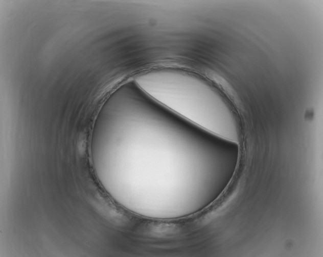 X0000092230833200709140940