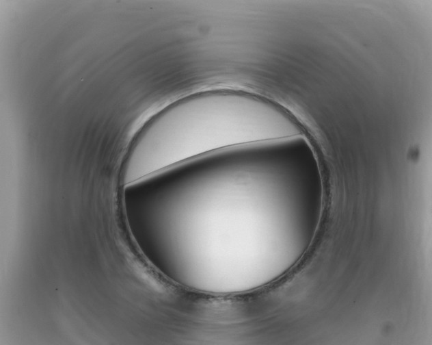 X0000092230834200709140940
