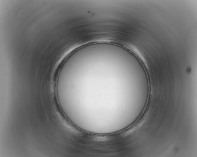 X0000092230835200709140940