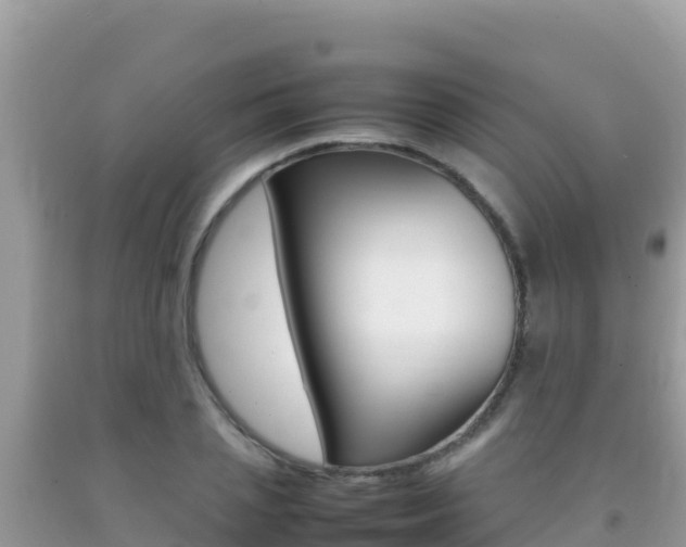 X0000092230837200709140940